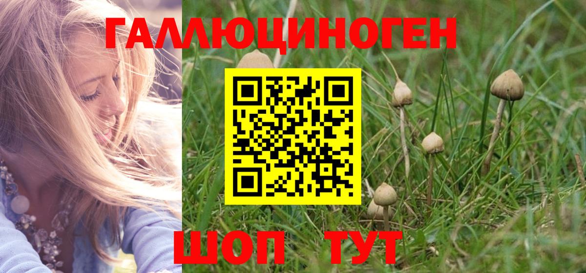 Моздок  Галлюциногенные грибы мухоморы  Вход с VPN  Псилоцибиновые грибы мицелий 