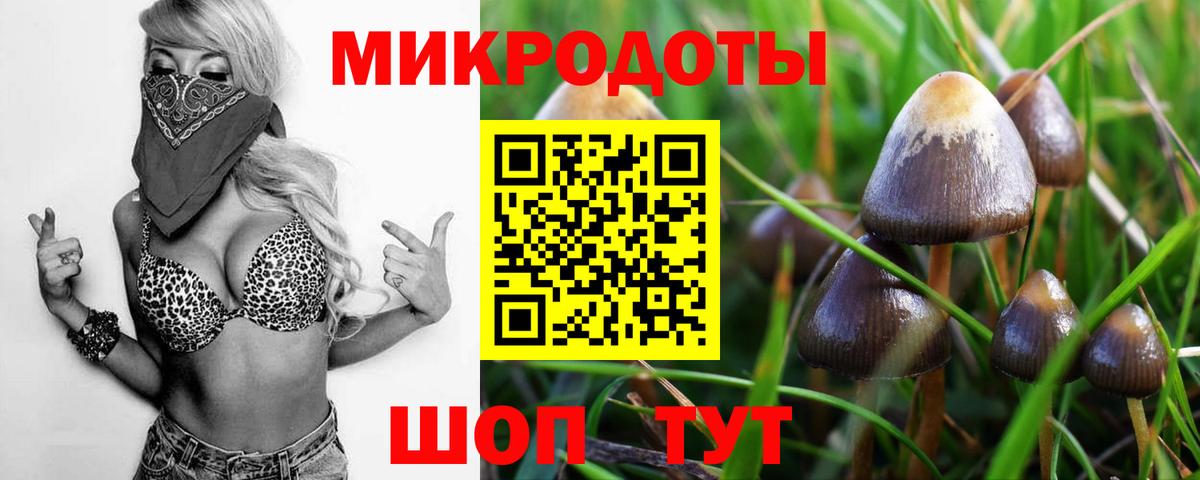 Галлюциногенные грибы Magic Shrooms Моздок